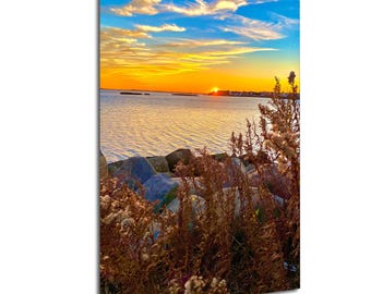 Boardwalk Photo Print: Early Morning Nature Path, Post-Surgery Recovery Art