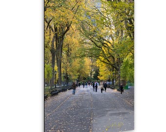 Central Park Autumn Photography Print, NYC Fall Foliage