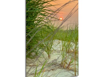Foto del atardecer en la hierba de la playa: Impresión de la hora dorada en las dunas costeras