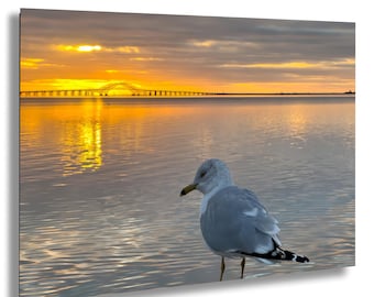 Serene Sunrise Scene: Babylon Town Dock Art with Seagull - Coastal New York Print