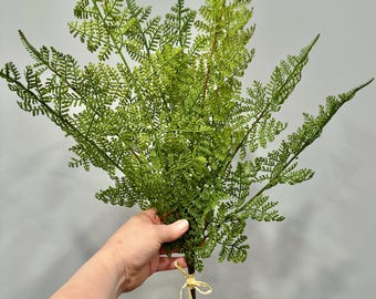 22" Soft Touch Green Leather Ferns, Bundle of 3 Lifelike Stems for Home Decor, Centerpieces, Handmade Wreaths, Centerpieces, and Door Decor