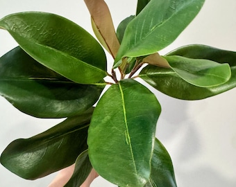16" Natural Touch Green Magnolia Leaf Spray for Home Decor, Centerpieces, Handmade Wreaths and Door Decor