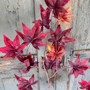 May include: A decorative branch featuring multiple maple leaves in shades of deep red, burgundy, and hints of orange and yellow. The leaves are attached to a thin, brown, branching stem, showcasing a realistic autumn-inspired color palette.