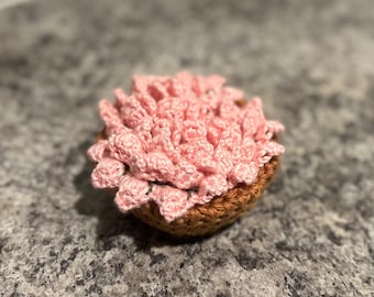 Crochet Flower pot coasters