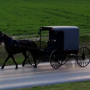 Lancaster County Amish horse and Buggy Digital Print