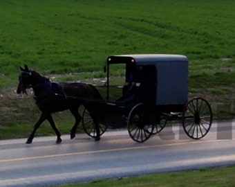 Lancaster County Amish Pferd und Buggy Digitaldruck