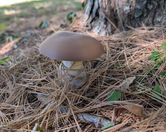Bolete Mushroom Geocache Container: Waterproof Log, Nature Lover Gift