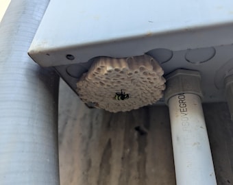 Wasp nest realistic 3d printed geocache with log and magnet - ready to be hidden!