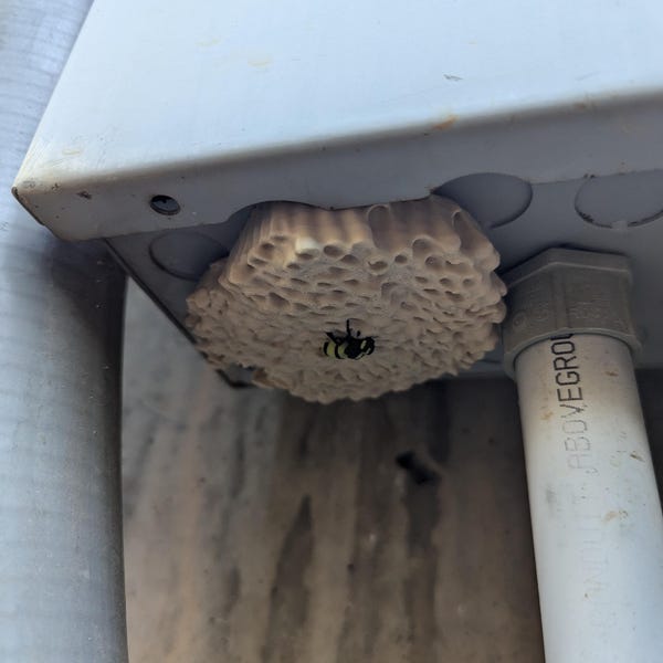 Wasp nest realistic 3d printed geocache with log and magnet - ready to be hidden!