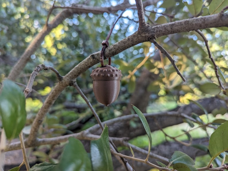 May include: A brown acorn-shaped pendant hanging from a branch of a tree with green leaves.