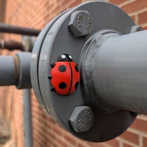 Cute Ladybug micro or nano geocache - 3d printed geocaching container with log and magnet