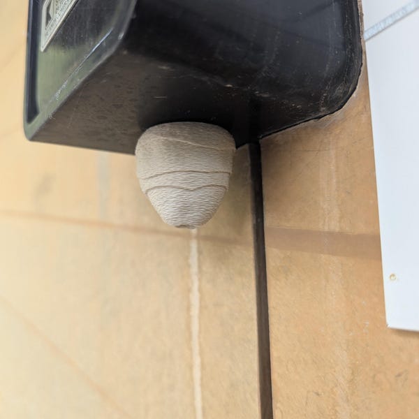 Wasp nest realistic 3d printed geocache with log and magnet - ready to be hidden!