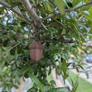 May include: A brown acorn-shaped ornament hanging from a tree branch with green leaves.