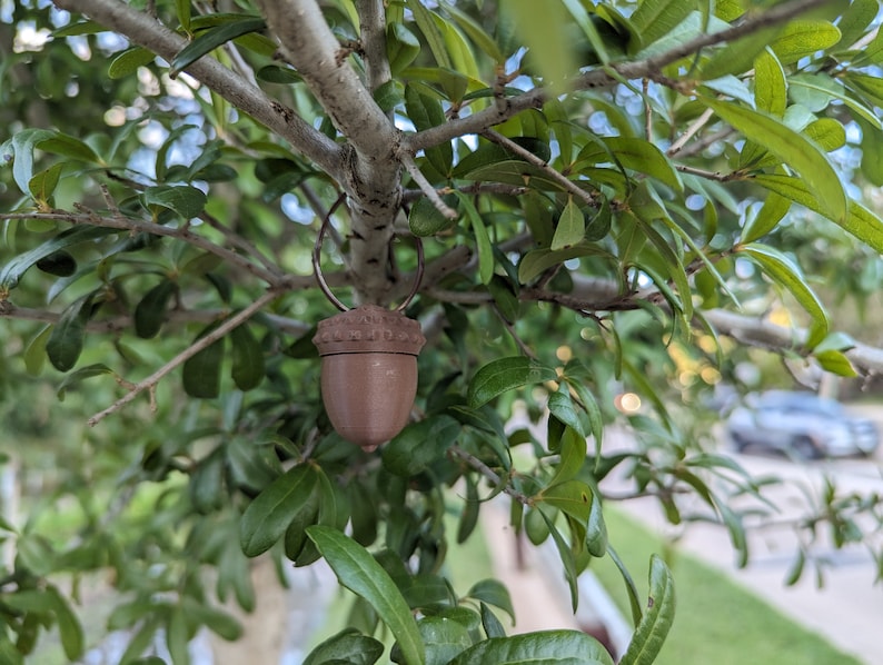 May include: A brown acorn-shaped ornament hanging from a tree branch with green leaves.