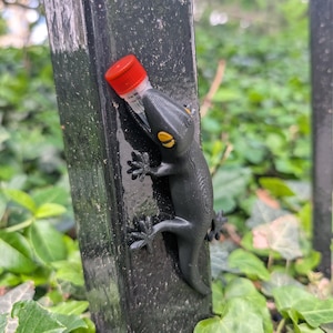 May include: A black gecko figurine holding a small red and white vial. The gecko is perched on a black metal post with green foliage in the background.