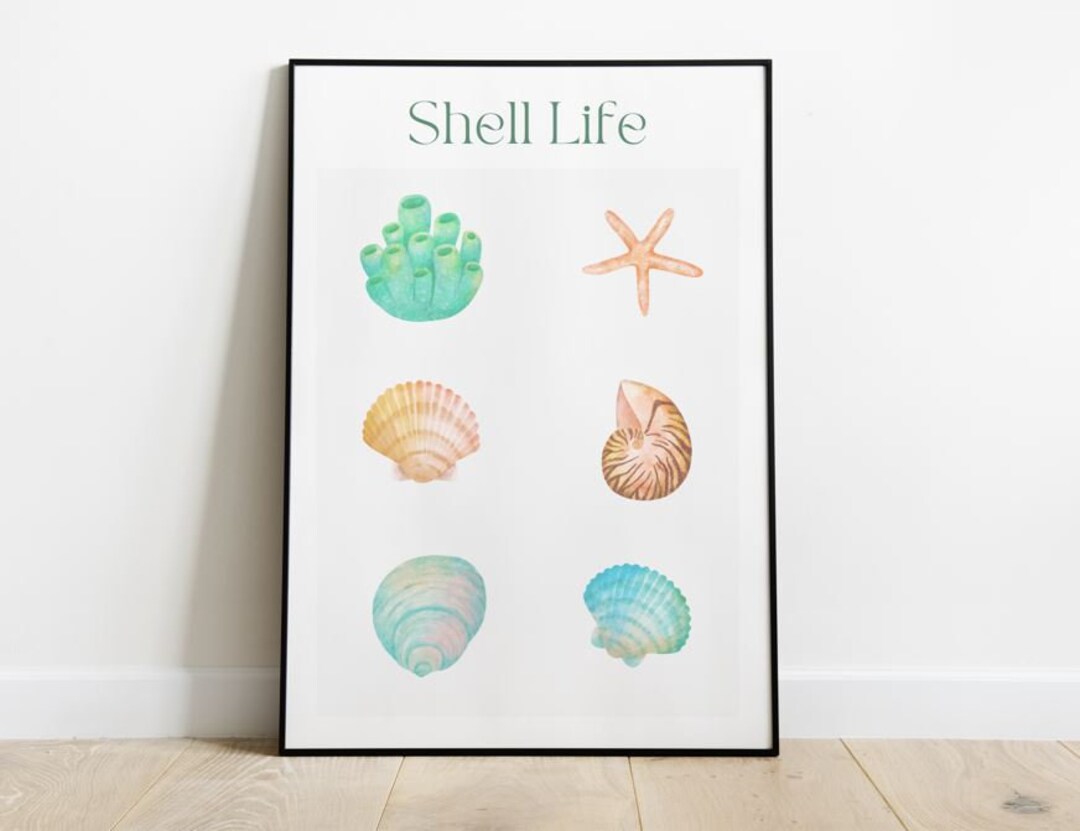 Shell Life Poster Seashell Poster Digital File Etsy