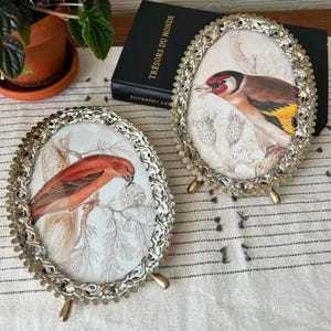 May include: Two oval picture frames with ornate silver-toned metal borders and small metal feet. Each frame contains a detailed illustration of a bird perched on a branch. One bird is reddish-orange, and the other is brown with yellow wing accents.