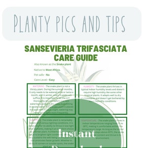 Snake plant guide sansevieria trifasciata care guide detailed plant care snake plant care guide indoor plant planner houseplant guides care