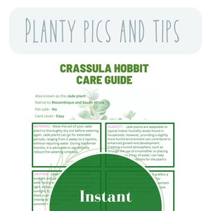 May include: A green and white illustrated guide with the title "Crassula Hobbit Care Guide". The guide provides information on watering, humidity, lighting, and soil for the plant.