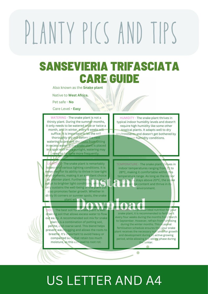 Curated visual reference: Gallery Detail: Snake Plant Guide Sansevieria Trifasciata Care Guide Detailed Plant