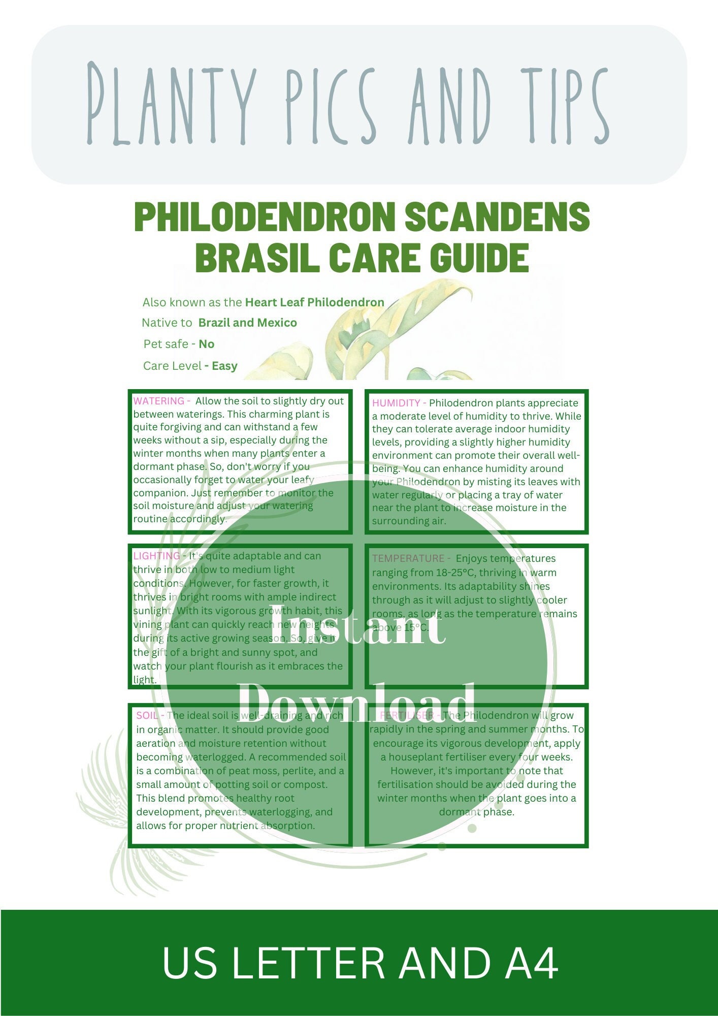 Philodendron Scandens Brasil Care Guide Philodendron Plant Care Philodendron  Houseplant Care Plant Care Tracker Plant Care Tips Houseplant - Etsy