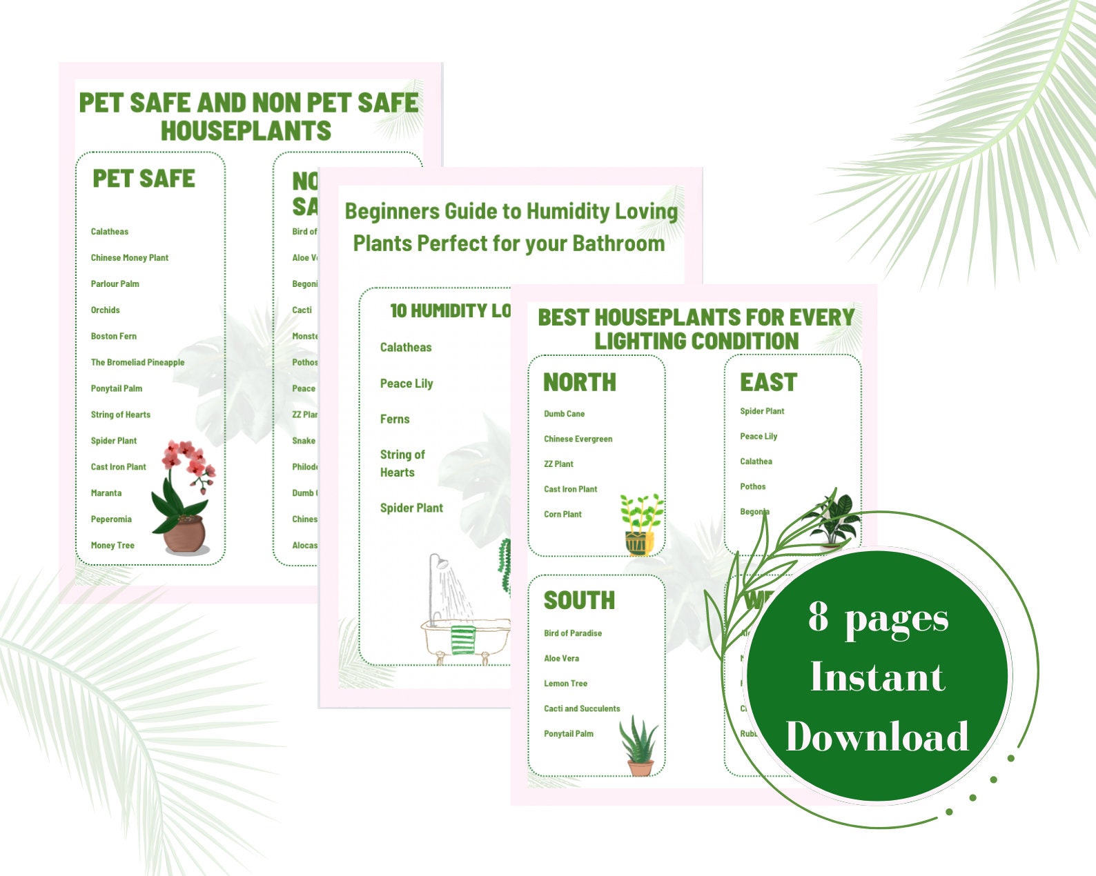 Houseplant Guide To Houseplant Care Information And Tools For Plant