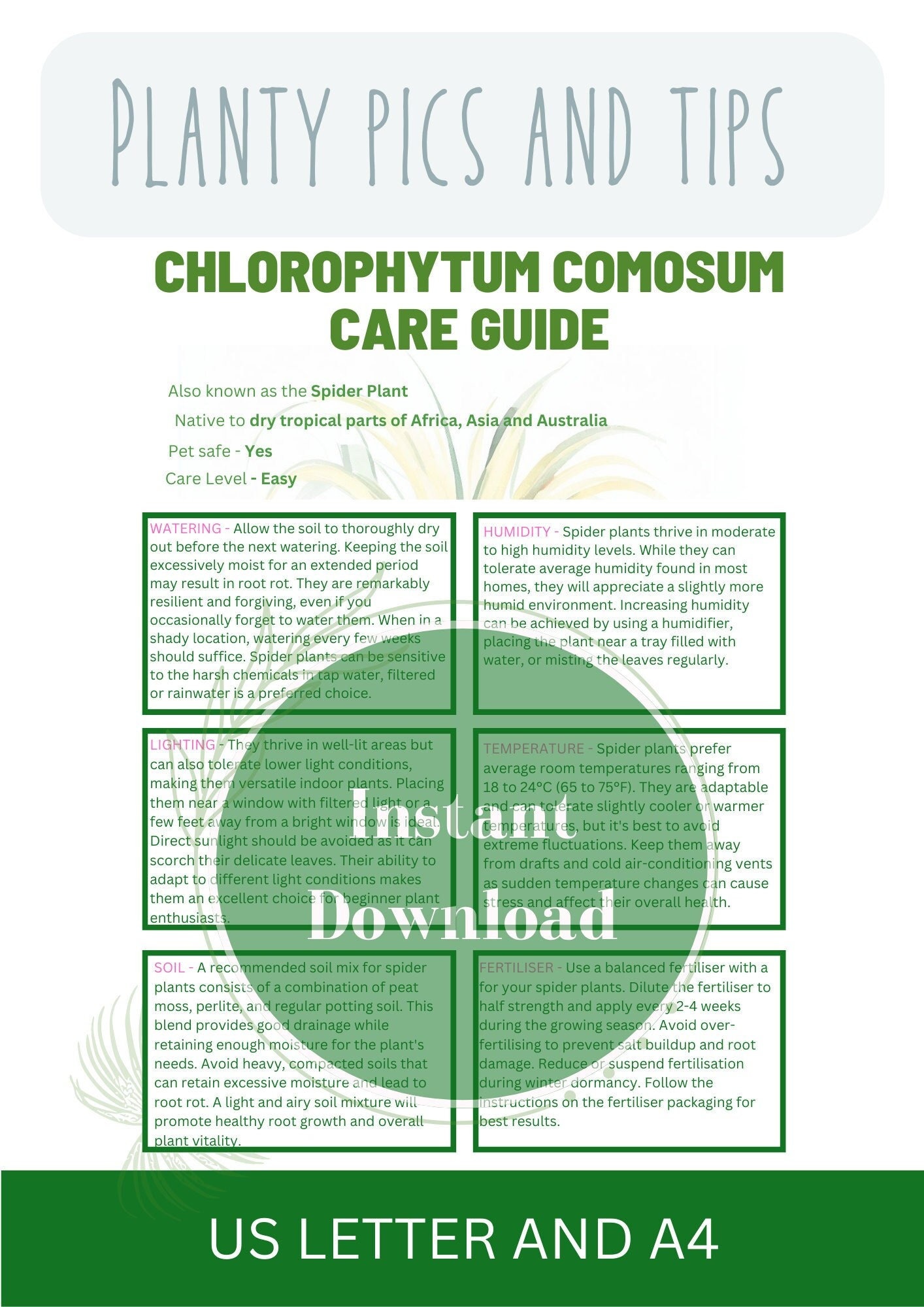 Spider Plant Guide Houseplant Guides Indoor Plant Care Guides Plant Care  for Your Plant Care Made Simple Beginners Guide to Houseplant Easy - Etsy