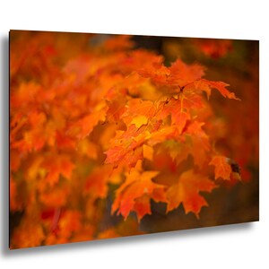 Adirondack New York Mountain Autumn Fall Color Nature Photography Print – Scenic Landscape Wall Art for Modern Home Décor
