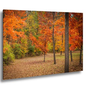 Adirondack New York Mountain Autumn Fall Color Nature Photography Print – Scenic Landscape Wall Art for Modern Home Décor