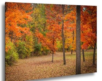 Adirondack Autumn Landscape Photography Print: New York Fall Foliage Wall Art