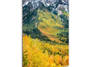 Wasatch-bergfotografie: muurkunst herfstlandschap Utah