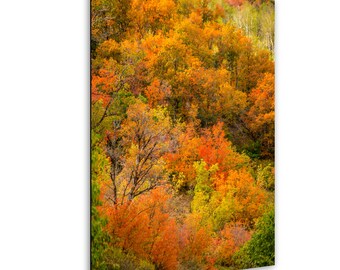 Herfst berglandschap fotografie-afdruk: Wasatch Mountains natuurkunst
