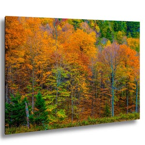 Adirondack New York Mountain Autumn Fall Color Nature Photography Print – Scenic Landscape Wall Art for Modern Home Décor