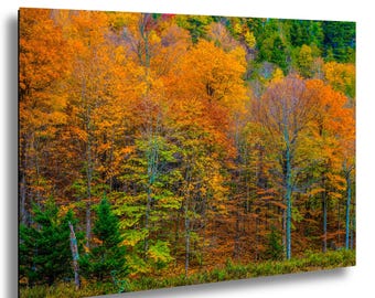 Adirondack Autumn Landscape Photography Print: New York Fall Foliage Wall Art