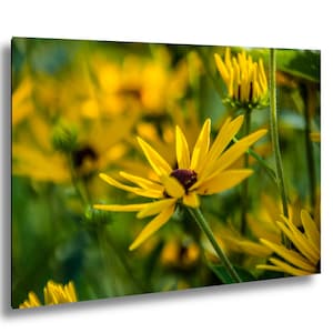 Wild Yellow Coneflower Floral Nature Photography Print – Scenic Landscape Wall Art for Modern Home Décor
