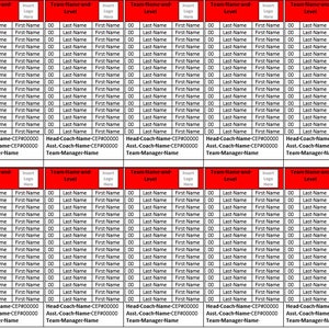 Sports Scoresheet Roster Label Word Template - with Color Banner and Logo