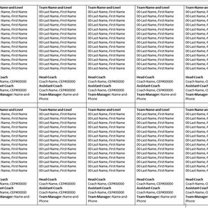 May include: A spreadsheet with a table format showing team names, player names, and contact information for coaches and team managers.