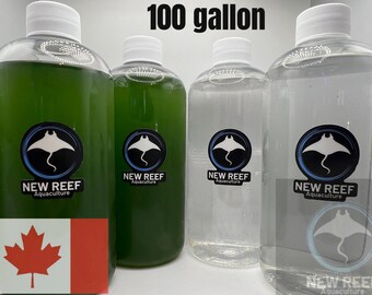 100 gallon pack live saltwater phytoplankton and copepod cultures