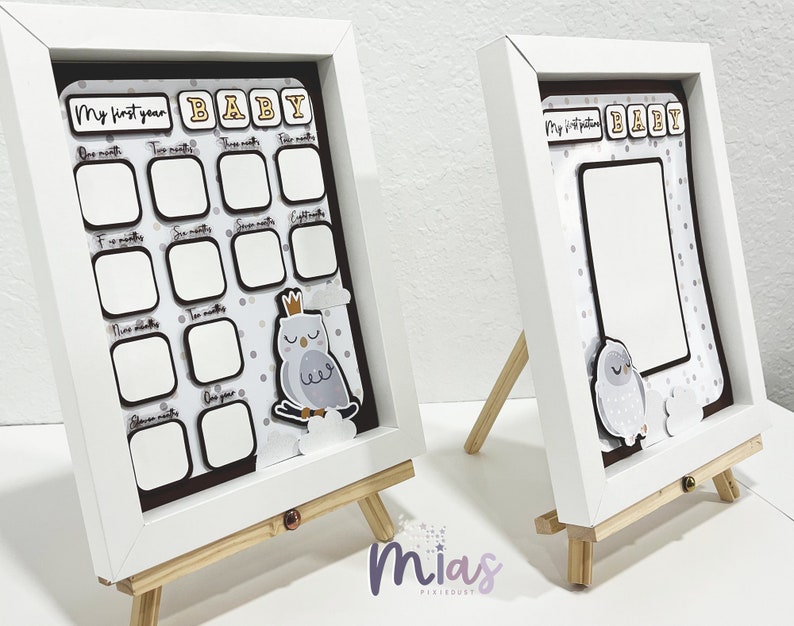 Baby First Picture Frame Newborn Baby Owl Baby Personalized Gift First Picture Frame and Baby's