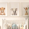 Safari Nursery Prints Set of 3 - Jungle Baby Animal Prints Safari ...