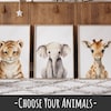 Safari Nursery Prints Set of 3 - Jungle Baby Animal Prints Safari ...