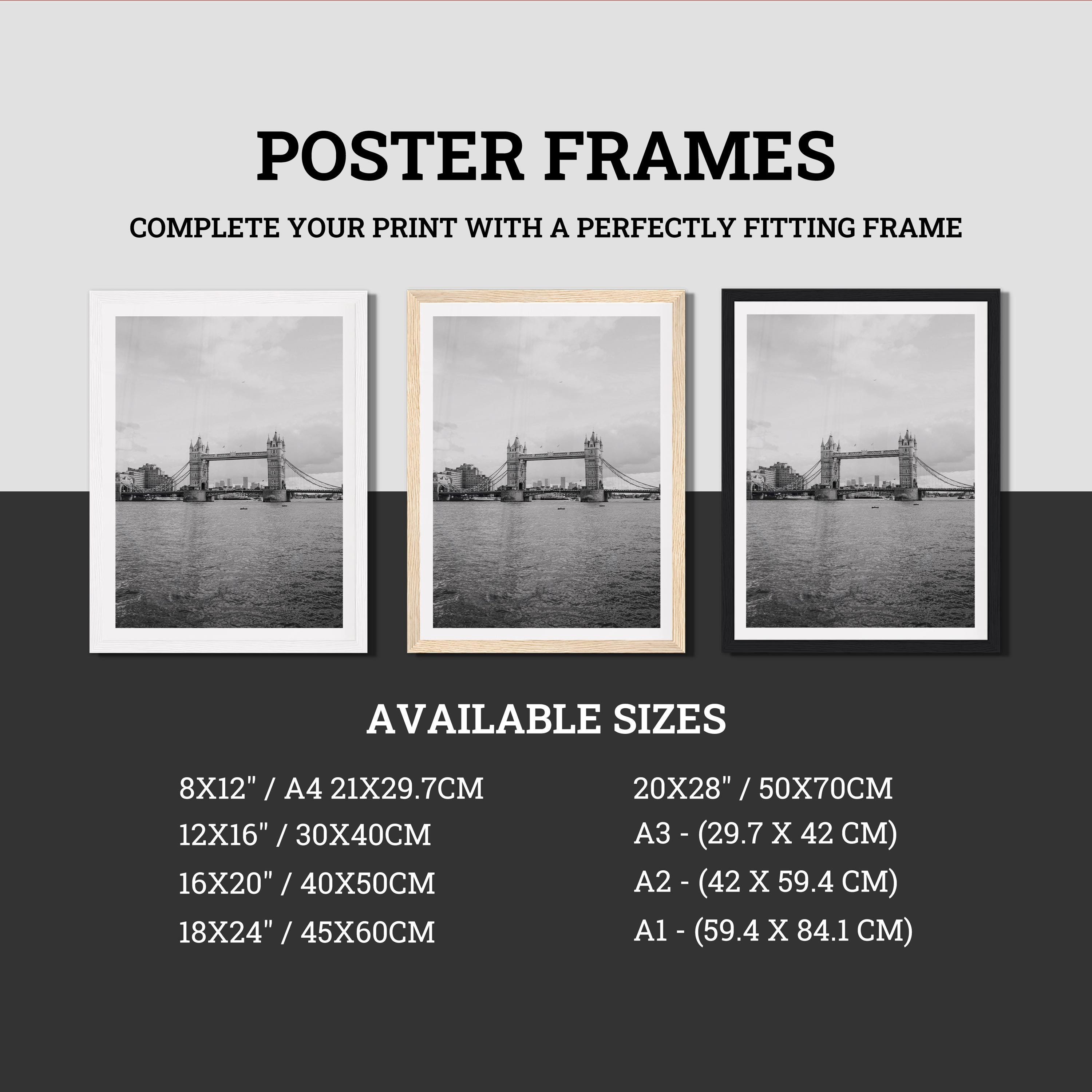 Japanese Poster Size B2 Frame - Etsy