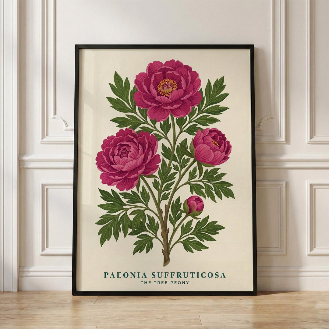 Peony Botanical Art Print, Vintage Floral Print, Pink Flower Poster ...
