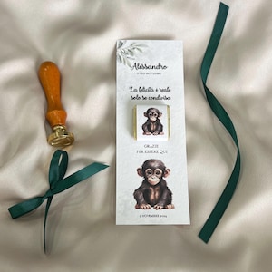 Marcapáginas con temática de oso verde, bautizo, cumpleaños, fiesta infantil, oso verde, globo aerostático, marcador de posición, con chocolate, animales, mono