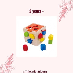 Montessori toy - Wooden shape sorter