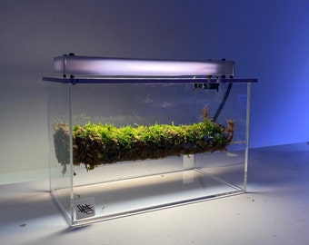 Mini Terrario Inteligente - Caja de Bioma Metabotánica