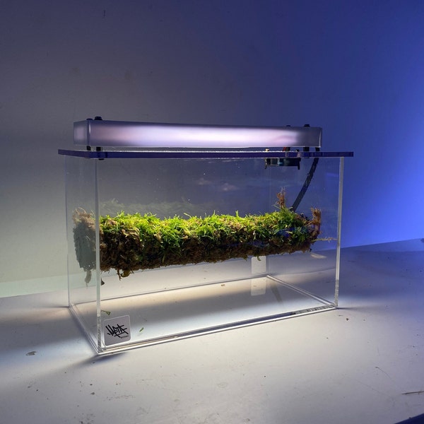 Mini Smart Terrarium - Metabotany Biome Box