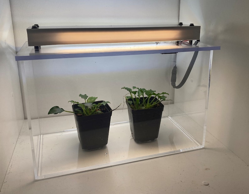 Mini Smart Terrarium - Metabotany Biome Box - Etsy