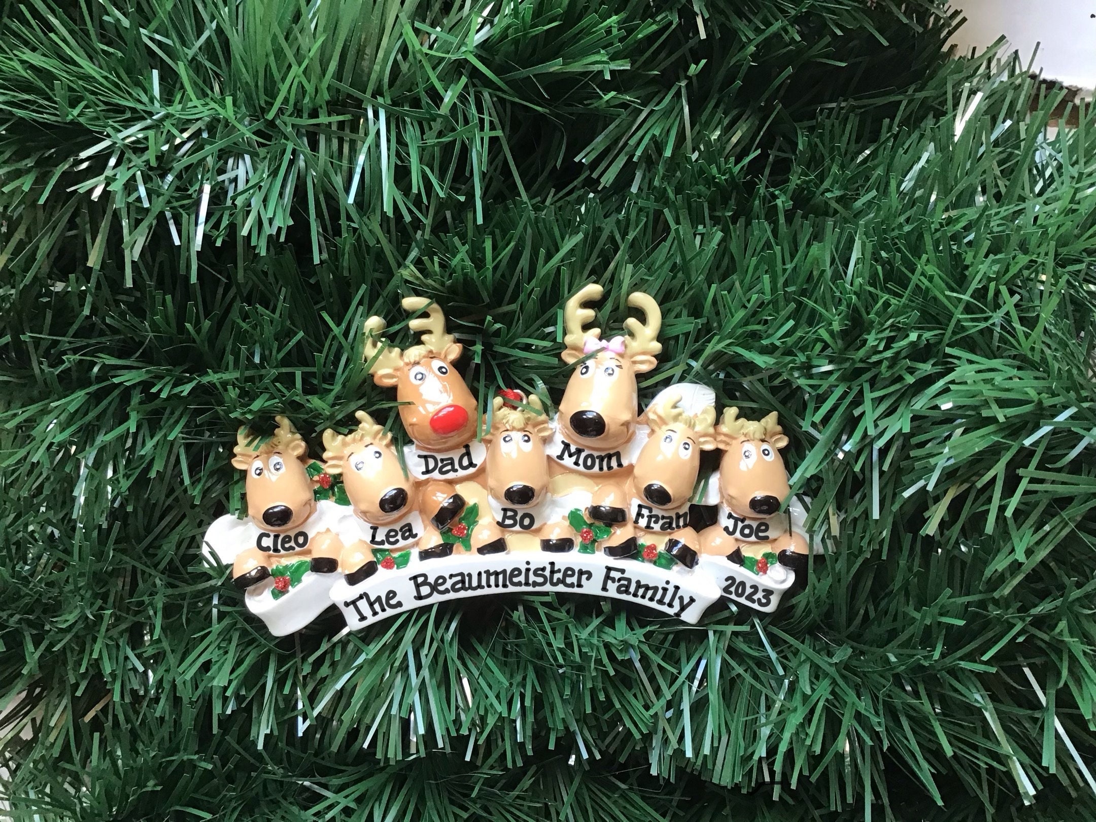 7 Rudolph Reindeer Family of Seven Personalized Christmas - Etsy