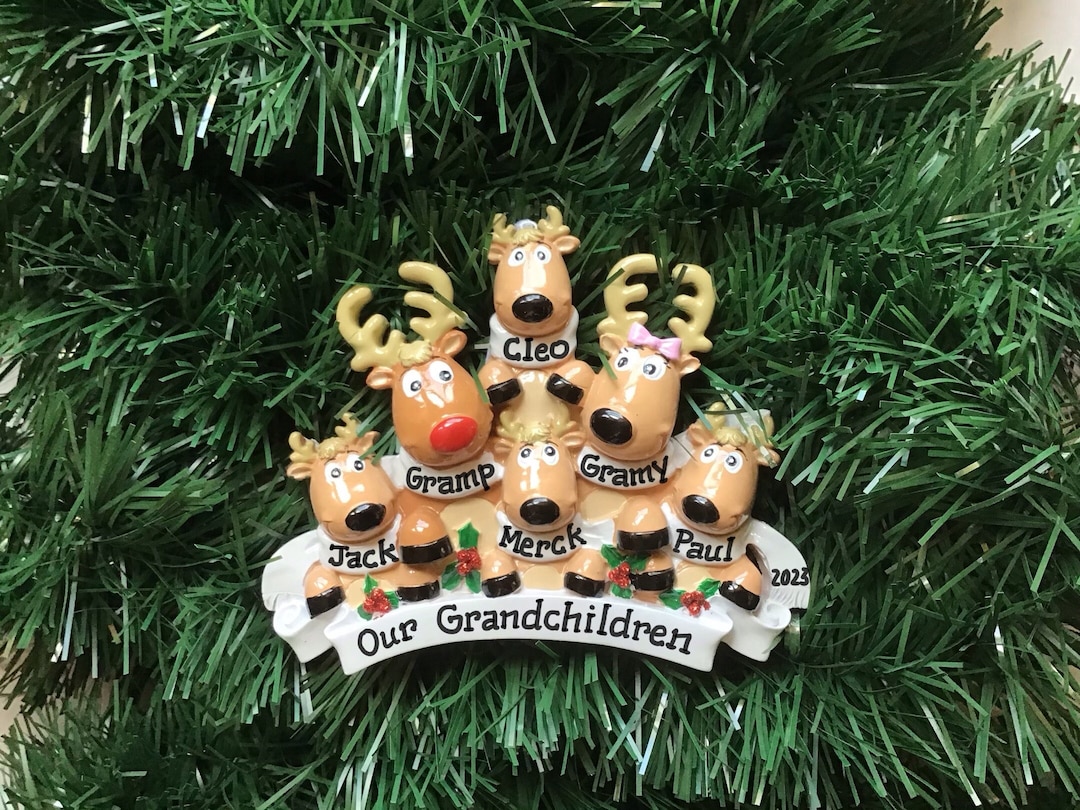 6 Rudolph Red Nose Reindeer Family of Six Personalized Christmas